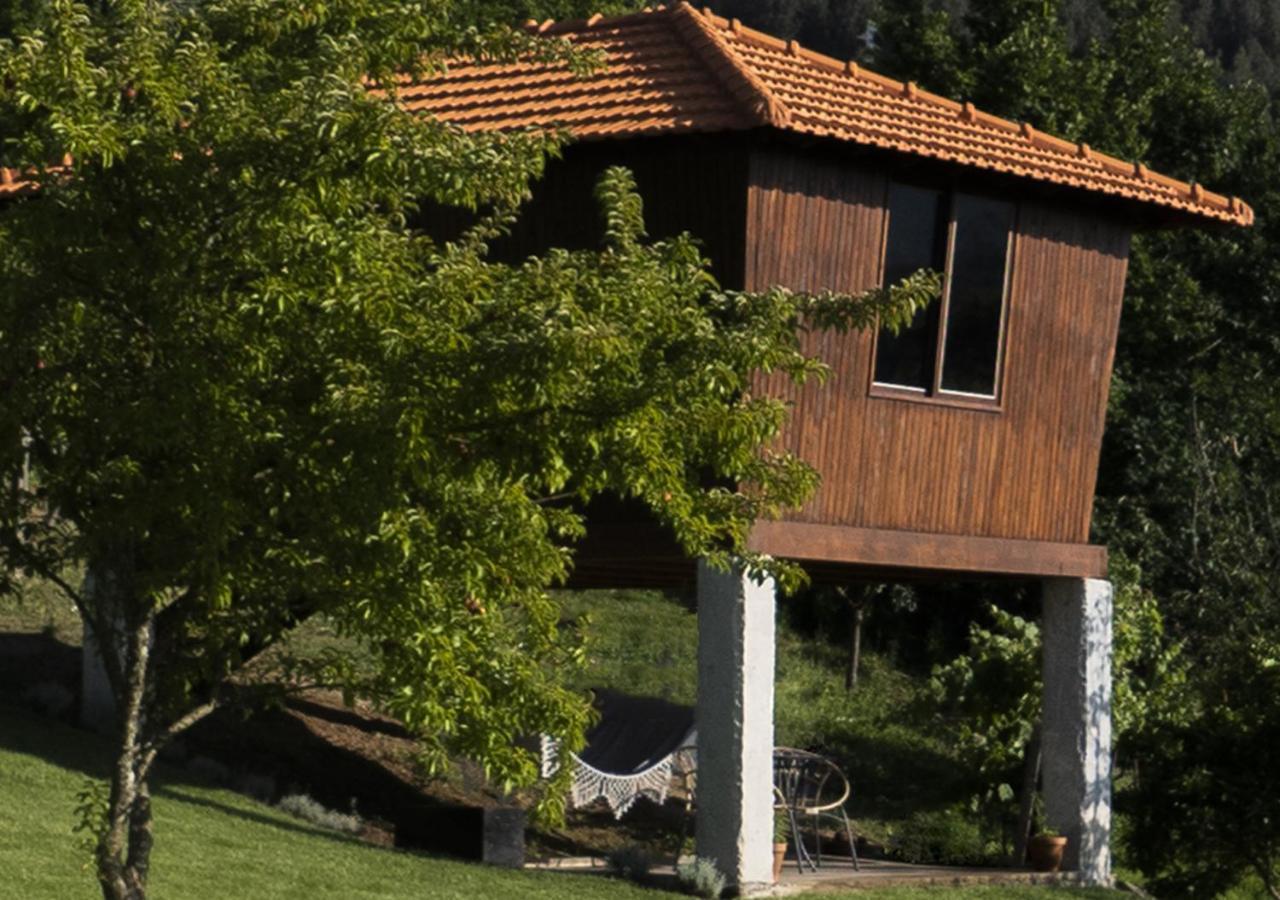 Cimo Da Vinha - Nature Spot Castelo de Paiva Exteriér fotografie